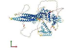 AlphaFold protein structure predicition of Mouse Recombinant Stat2 Protein, UniprotID Q9WVL2