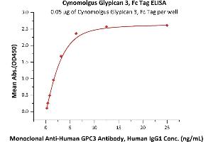 Glypican 3 (GPC3) (AA 25-559) (Active) protein (Fc Tag)
