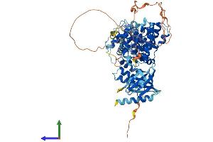 AlphaFold protein structure predicition of Human Recombinant TBC1D23 Protein, UniprotID Q9NUY8