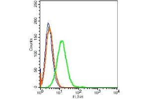 Raji cells probed with 	CD21/EBV receptor Polyclonal Antibody, Unconjugated  at 1:20 for 30 minutes followed by incubation with a conjugated secondary (PE Conjugated) (green) for 30 minutes compared to control cells (blue), secondary only (light blue) and isotype control (orange).