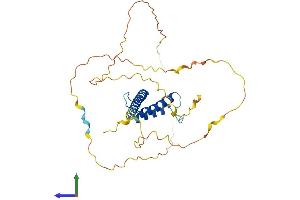AlphaFold protein structure predicition of Mouse Recombinant Atoh8 Protein, UniprotID Q99NA2
