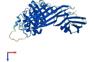 AlphaFold protein structure predicition of Human Recombinant AP1M2 Protein, UniprotID Q9Y6Q5