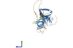 AlphaFold protein structure predicition of Human Recombinant APPL2 Protein, UniprotID Q8NEU8