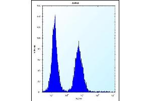 ABI2 Antibody (N-term) (ABIN656497 and ABIN2845772) flow cytometric analysis of Jurkat cells (right histogram) compared to a negative control cell (left histogram). (ABI2 anticorps  (N-Term))