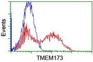 Image no. 1 for anti-Transmembrane Protein 173 (TMEM173) antibody (ABIN1501424) (STING/TMEM173 anticorps)