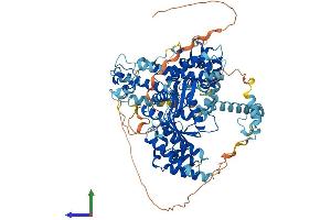 AlphaFold protein structure predicition of Human Recombinant KAT2B Protein, UniprotID Q92831