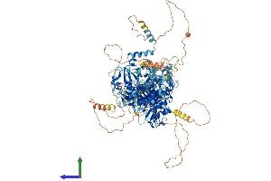 AlphaFold protein structure predicition of Human Recombinant KCNT1 Protein, UniprotID Q5JUK3
