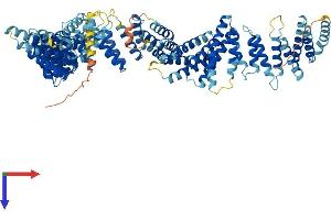 AlphaFold protein structure predicition of Human Recombinant TEX11 Protein, UniprotID Q8IYF3