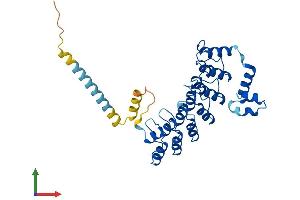 AlphaFold protein structure predicition of Mouse Recombinant Asb5 Protein, UniprotID Q9D1A4