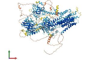 AlphaFold protein structure predicition of Mouse Recombinant Atp10d Protein, UniprotID Q8K2X1