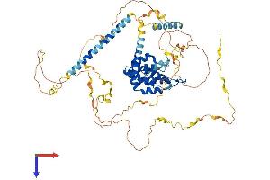 AlphaFold protein structure predicition of Mouse Recombinant Epn1 Protein, UniprotID Q80VP1