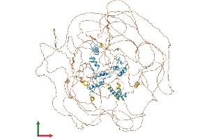 AlphaFold protein structure predicition of Mouse Recombinant Gli3 Protein, UniprotID Q61602
