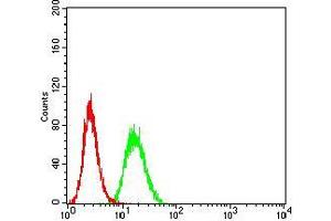 Flow cytometric analysis of Hela cells using C3C mouse mAb (green) and negative control (red). (Complement C3c anticorps  (AA 1521-1649))