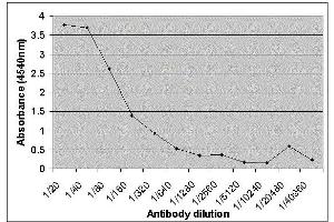 ELISA image for anti-Lactalbumin, alpha- (LALBA) antibody (ABIN2477393) (LALBA anticorps)