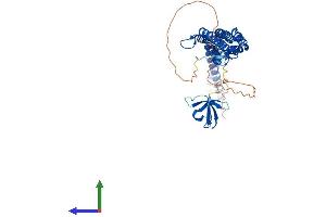 AlphaFold protein structure predicition of Human Recombinant PACSIN1 Protein, UniprotID Q9BY11