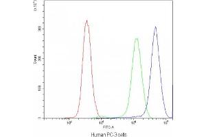 Flow cytometry testing of human PC-3 cells with SYT1 antibody at 1ug/10^6 cells (blocked with goat sera) (SYT1 anticorps)