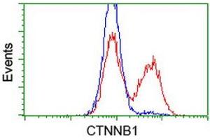 Flow Cytometry (FACS) image for anti-Catenin (Cadherin-Associated Protein), beta 1, 88kDa (CTNNB1) antibody (ABIN1496892) (CTNNB1 anticorps)