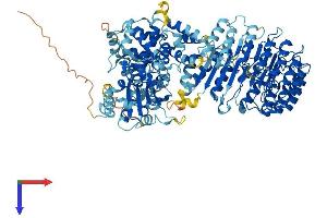AlphaFold protein structure predicition of Mouse Recombinant Nlrp14 Protein, UniprotID Q6B966