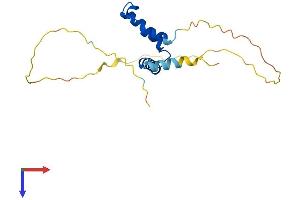 AlphaFold protein structure predicition of Human Recombinant SCAND1 Protein, UniprotID P57086