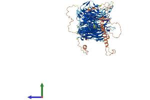 AlphaFold protein structure predicition of Mouse Recombinant Stxbp5 Protein, UniprotID Q8K400