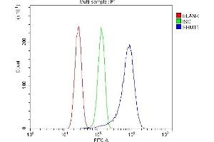 Flow Cytometry analysis of U87 cells using anti-SHMT1 antibody (ABIN7599421). (SHMT1 anticorps  (AA 1-470))