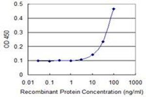 anti-Mitochondrial Ribosomal Protein S22 (MRPS22) (AA 1-360) antibody