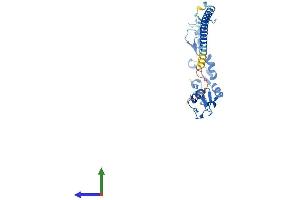 AlphaFold protein structure predicition of Mouse Recombinant Rnf151 Protein, UniprotID Q9CQ29