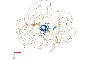 AlphaFold protein structure predicition of Human Recombinant NKTR Protein, UniprotID P30414