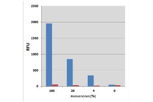Detection of glutamate in human serum. (Glutamate Assay Kit)