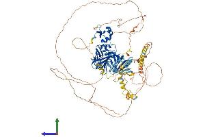 AlphaFold protein structure predicition of Human Recombinant OXR1 Protein, UniprotID Q8N573