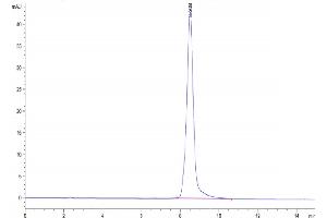 The purity of Mouse AGER is greater than 95 % as determined by SEC-HPLC.