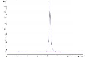 The purity of Mouse AGER is greater than 95 % as determined by SEC-HPLC. (RAGE Protein (AA 23-340) (His tag))
