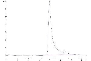 The purity of Human CD40 Ligand Trimer is greater than 95 % as determined by SEC-HPLC.