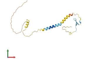 AlphaFold protein structure predicition of Human Recombinant KLRC4 Protein, UniprotID O43908