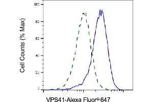 Validation of VPS41 knockdown using flow cytometry. (Recombinant VPS41 anticorps)