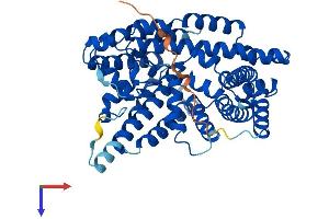 AlphaFold protein structure predicition of Human Recombinant MBOAT7 Protein, UniprotID Q96N66