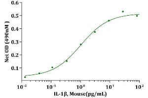 IL-1β, Mouse stimulates cell proliferation of D10S cells. (IL-1 beta Protéine)