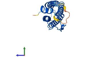 AlphaFold protein structure predicition of Mouse Recombinant Ftl2 Protein, UniprotID P49945