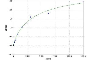 Ectodysplasin A (EDA) ELISA Kit