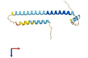 AlphaFold protein structure predicition of Mouse Recombinant Tsc22d3 Protein, UniprotID Q9Z2S7
