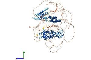 AlphaFold protein structure predicition of Mouse Recombinant Arhgap29 Protein, UniprotID Q8CGF1