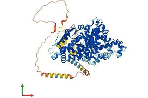 AlphaFold protein structure predicition of Mouse Recombinant Ampd3 Protein, UniprotID O08739
