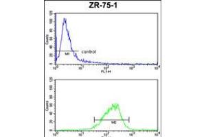 Flow cytometric analysis of ZR-75-1 cells (bottom histogram) compared to a negative control cell (top histogram). (COX6A1 anticorps  (AA 50-78))