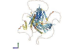 AlphaFold protein structure predicition of Human Recombinant KIF1C Protein, UniprotID O43896