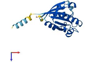 AlphaFold protein structure predicition of Mouse Recombinant Arl8b Protein, UniprotID Q9CQW2