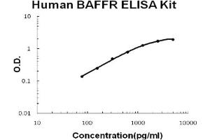 Human TNFRSF13C/BAFFR Accusignal ELISA Kit Human TNFRSF13C/BAFFR AccuSignal ELISA Kit standard curve. (TNFRSF13C Kit ELISA)