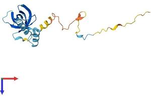 AlphaFold protein structure predicition of Mouse Recombinant Eif1ad Protein, UniprotID Q3THJ3
