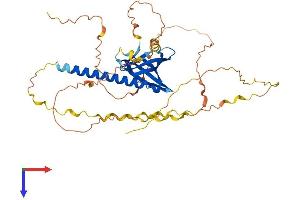 AlphaFold protein structure predicition of Mouse Recombinant Phlda1 Protein, UniprotID Q62392