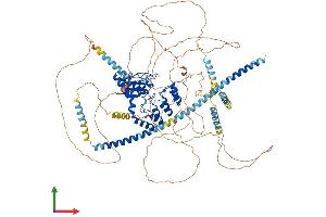 AlphaFold protein structure predicition of Human Recombinant PPP1R12B Protein, UniprotID O60237