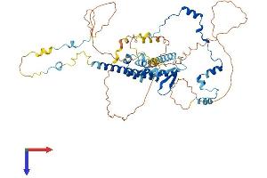 AlphaFold protein structure predicition of Human Recombinant RAD21L1 Protein, UniprotID Q9H4I0